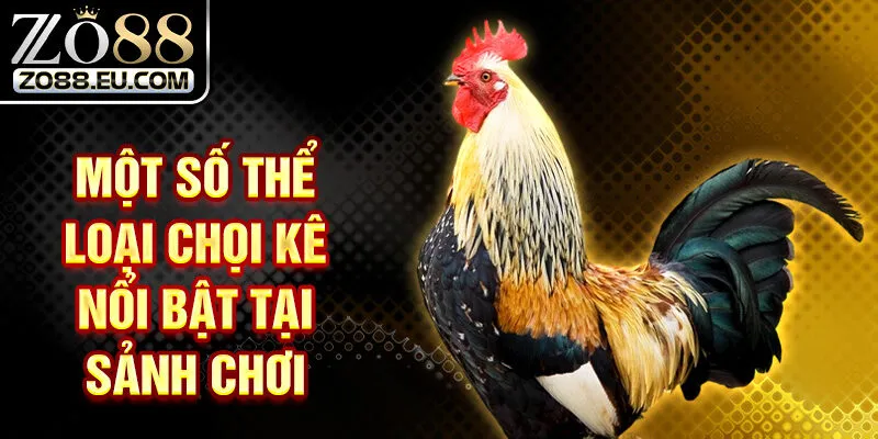 Một số thể loại chọi kê nổi bật tại sảnh chơi