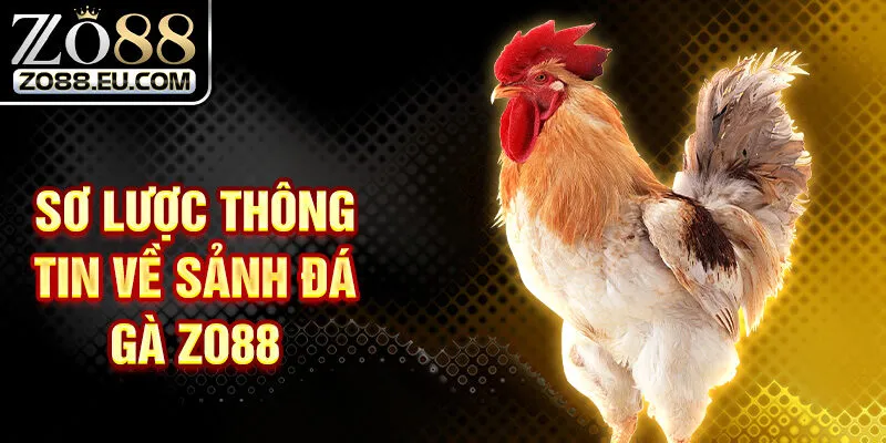 Sơ lược thông tin về sảnh đá gà ZO88