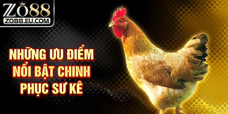 Những ưu điểm nổi bật chinh phục sư kê