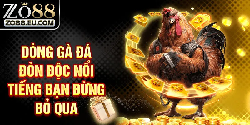 Dòng gà đá đòn độc nổi tiếng bạn đừng bỏ qua