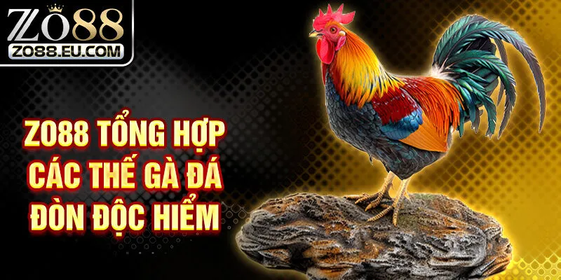 ZO88 tổng hợp các thế gà đá đòn độc hiểm