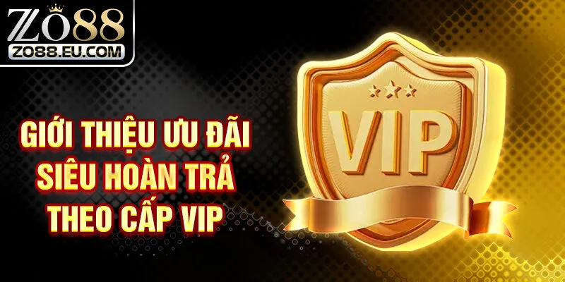 Giới thiệu ưu đãi siêu hoàn trả theo cấp VIP