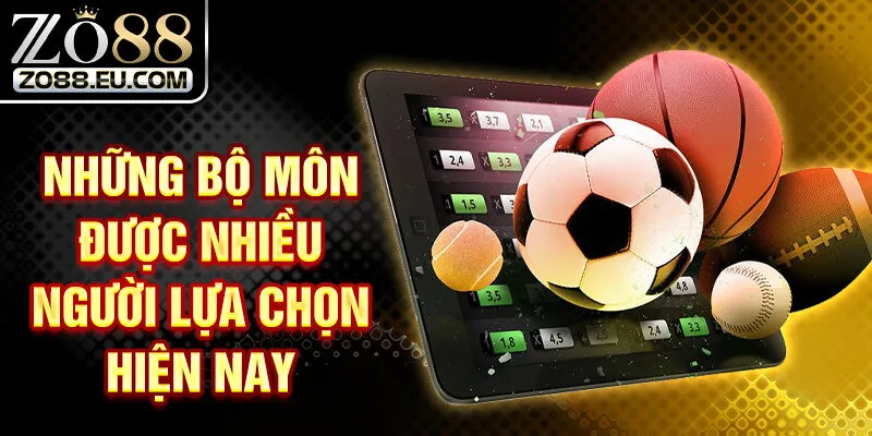 Những bộ môn được nhiều người lựa chọn hiện nay